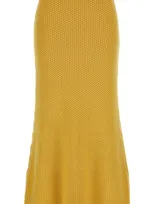 Chloé Flared Maxi Skirt In Yellow