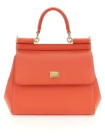 Dolce & Gabbana Bags In Orange