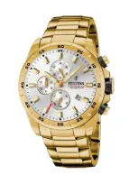 Festina Watches Mod. F20541/1 In Gold