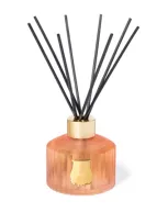 Trudon Tuileries Diffuser In Orange