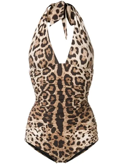 Dolce & Gabbana One Piece Swimsuit Curled Fantasy Leo In Brown