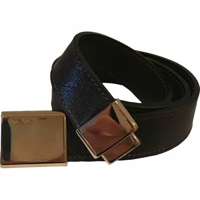 Pre-owned Max Mara Leather Belt In Brown