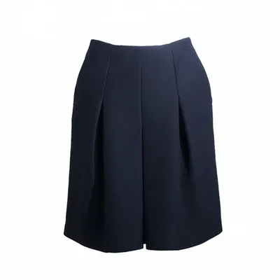 Pre-owned Lanvin Mid-length Skirt In Black