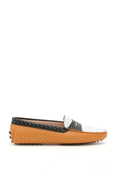 Tod's Gommino Loafers With Micro Studs In Brown,black,silver