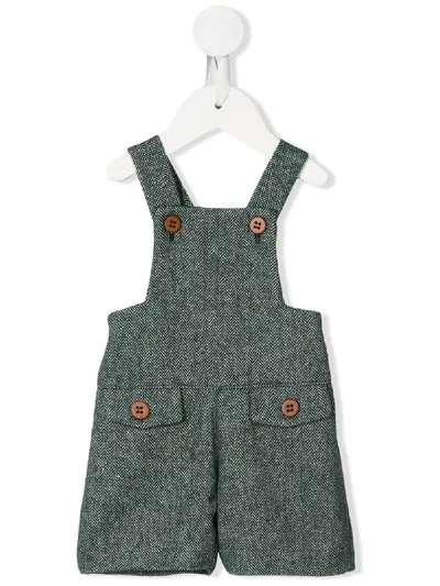 Siola Babies' Teddy Shorts In Green