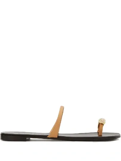 Giuseppe Zanotti Crystal-embellished Flat Sandals In Brown