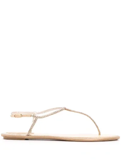 René Caovilla Amalia Crystal Sandals In Neutrals