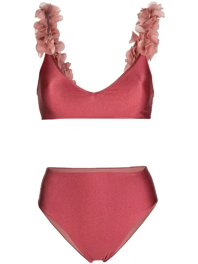 La Reveche Floral Appliqué Bikini Set In Pink