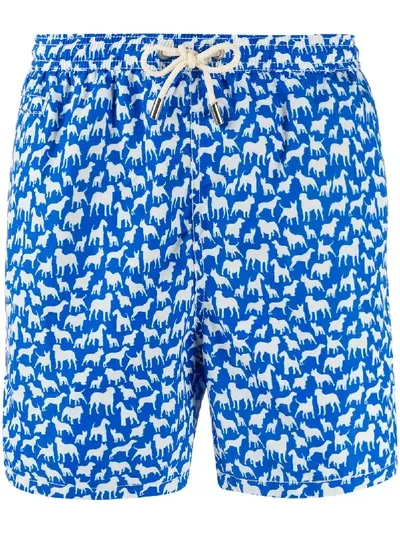 Mc2 Saint Barth Dog Print Swim Shorts In Blue