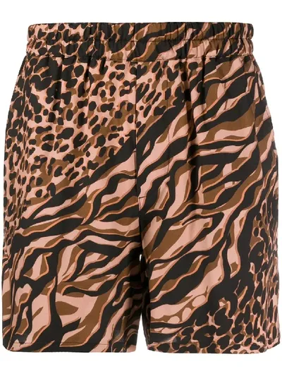 Roberto Cavalli Graphic Print Shorts In Neutrals