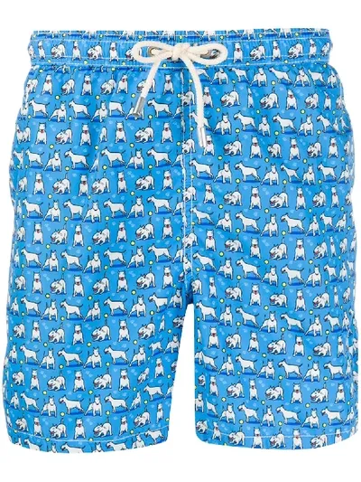 Mc2 Saint Barth Bull Terrier Swim Shorts In Blue