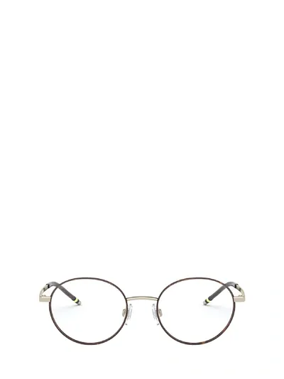 Polo Ralph Lauren Ph1193 Havana On Shiny Pale Gold Glasses