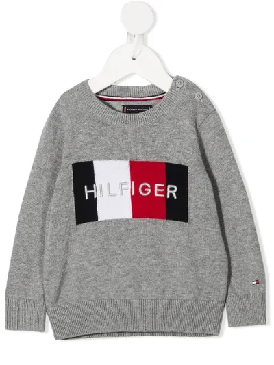 Tommy Hilfiger Junior Babies' Embroidered Logo Jumper In Grey