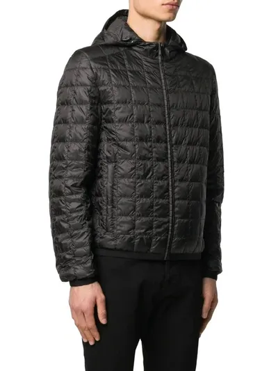 Prada Padded Zip Jacket In Black