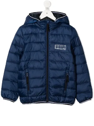 Molo Kids' Padded Hooded Jacket In Blue