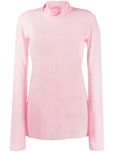 Kwaidan Editions Transparent Mesh Turtleneck In Pink