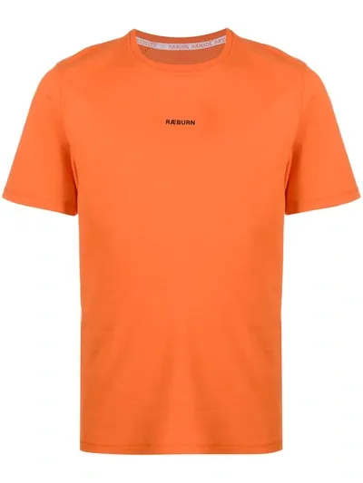 Raeburn Logo Print T-shirt In Orange