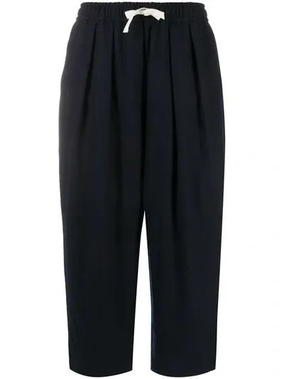 Sofie D'hoore Poussin Wowa Cropped Trousers In Blue