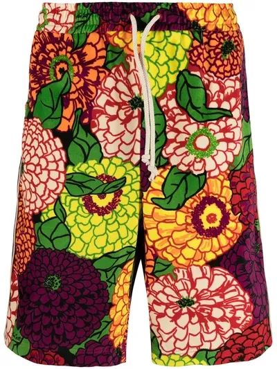 Gucci X Ken Scott Floral-print Track Shorts In Red