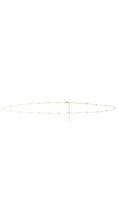 Casa Clara Lily Belly Chain In Metallic Gold