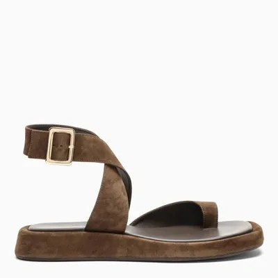 Gia Couture Womens Dark Brown X Rosie Huntington-whiteley Suede Wrap Sandals 4