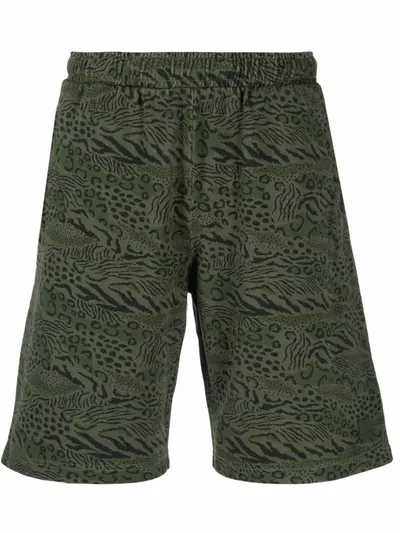 Kenzo Animal Print Cotton Shorts In Dark Khaki