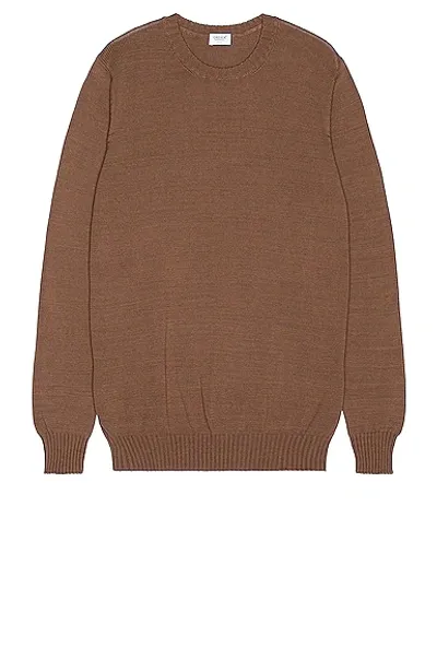 Ghiaia Cashmere Cotton Crewneck In Cacao