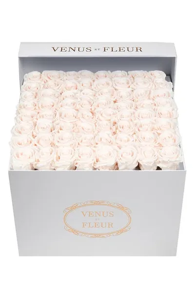 Venus Et Fleur Classic Large Eternity Roses In Blush