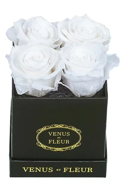 Venus Et Fleur Classic Le Petit Eternity Roses In Pure White