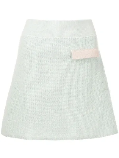 Onefifteen X Beyond The Radar Knitted Mini Skirt In Green