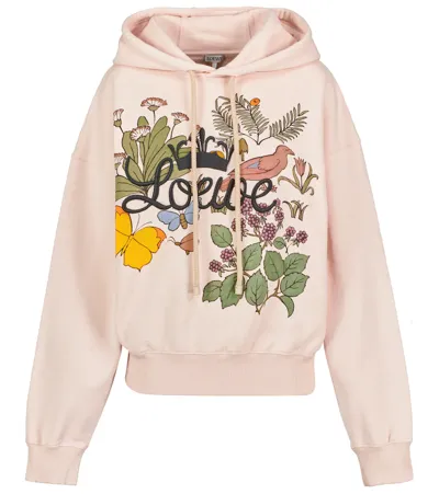 Loewe Herbarium Logo-embroidered Printed Cotton-jersey Hoodie In Multi-colour