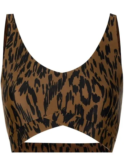 The Upside Tropical Bowie Leopard-print Sports Bra In Braun,schwarz