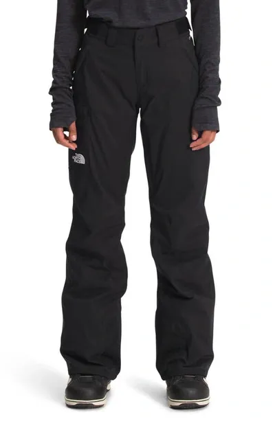 The North Face Freedom Waterproof Insulated Pants In Black