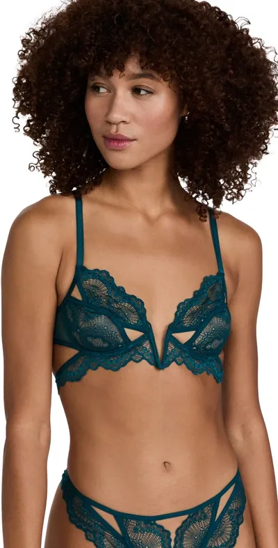 Thistle And Spire Kane Bra In Chameleon