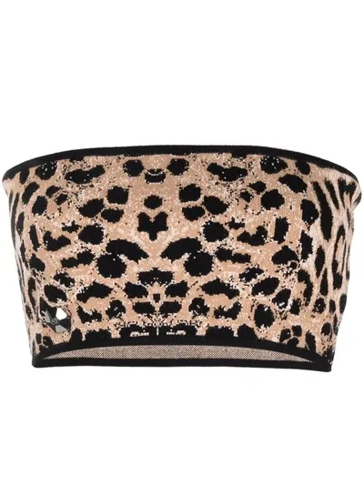 Philipp Plein Knitted Leopard-print Bandeau Top In Nude