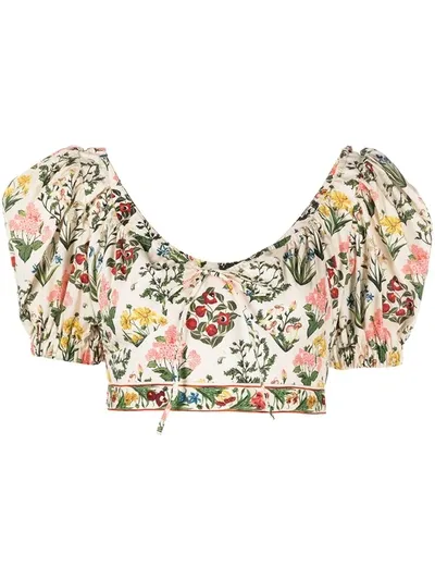 Agua By Agua Bendita Palmarosa Cropped Floral-print Organic Cotton-poplin Top In Multi