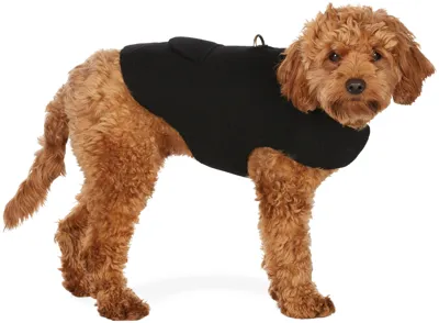 Fantastical Creatures Club Black Wrap Up Jacket Harness