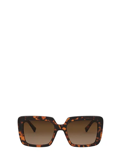 Versace Ve4384b Havana Sunglasses In Multi