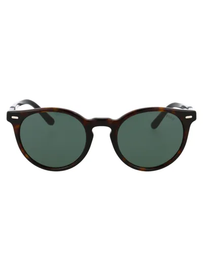 Polo Ralph Lauren 0ph4151 Sunglasses In Brown