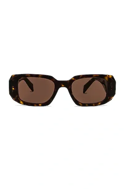 Prada Scultoreo Narrow Sunglasses In Havana