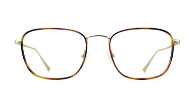 Taylor Morris Eyewear Sw8 C4 Glasses In White