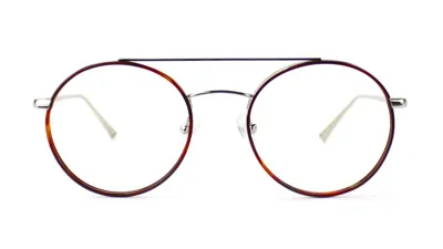 Taylor Morris Eyewear Sw9 C1 Glasses In Metallic