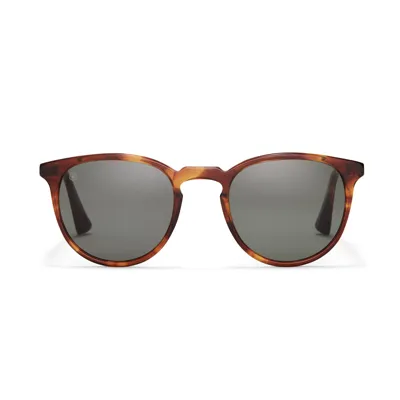 Taylor Morris Eyewear George Arthur Sunglasses In Brown