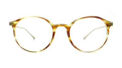 Taylor Morris Eyewear Sw4 C2 Glasses In Brown