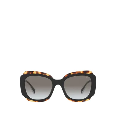 Prada Pr 16ys Black / Havana Female Sunglasses