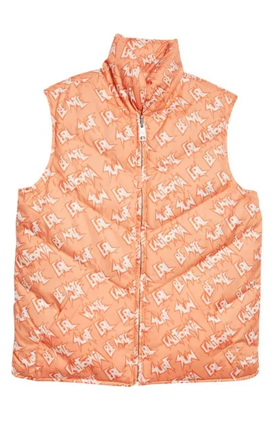 Erl Reversible Quilted Logo-print Shell Down Gilet In Orange