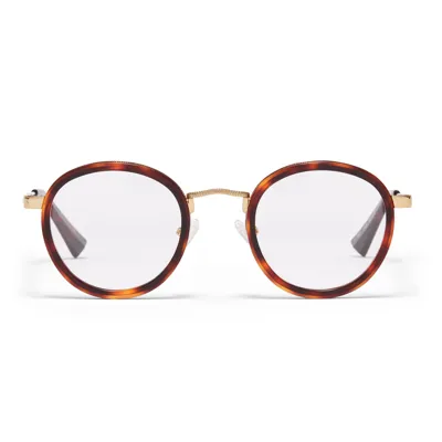 Taylor Morris Eyewear W2 Glasses In Brown