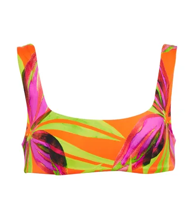 Louisa Ballou Scoop Printed Bikini Top In Multicolor