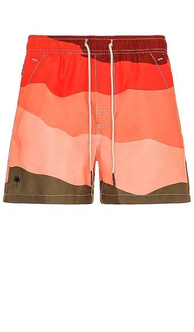 Oas Fire Wave Swim Trunk