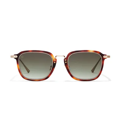 Taylor Morris Eyewear Denbigh Sunglasses